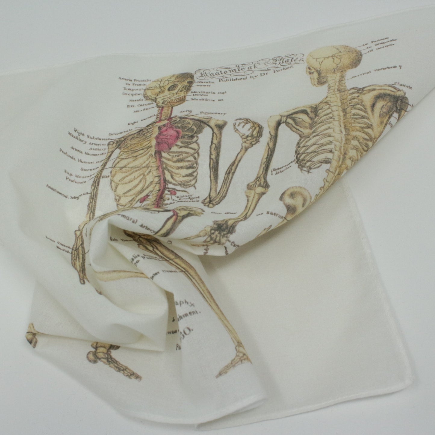 Cotton Hankie Handkerchief Pocket Square anatomical skeleton design on a white background
