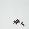 Japanese Crows Cotton Handkerchief