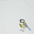 Cotton Handkerchief hankie pocket squre great tit Illustration of a bird on a white background