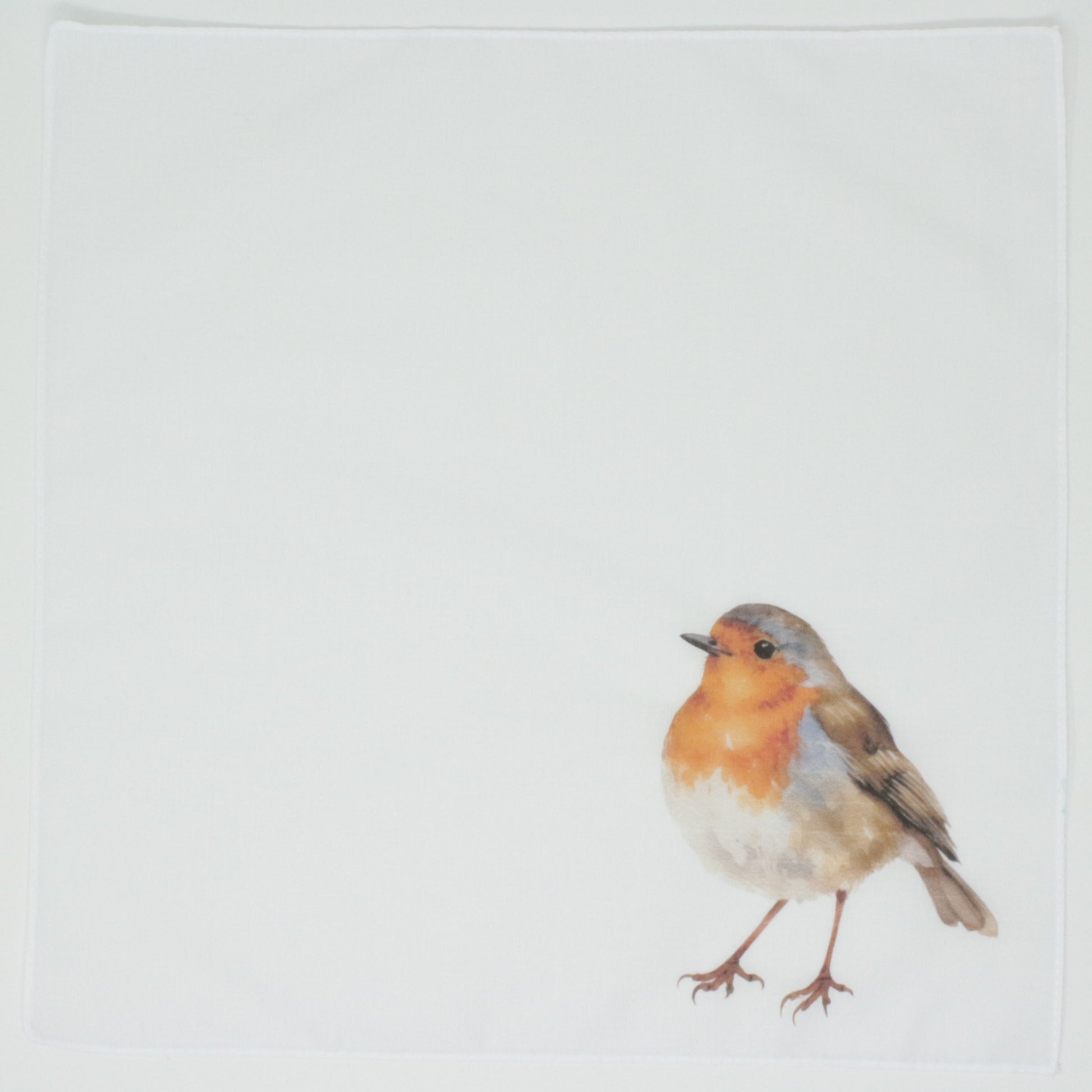 Bird on a white background British Robin Cotton Handkerchief Hankie Pocket Square