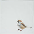 Bird illustration on a white background Cotton Handkerchief Pocket Square Hankie