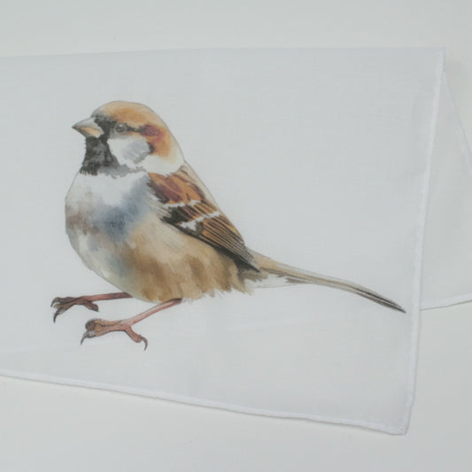 Illustration of a sparrow on a white background Cotton Hankie Pocket Square Handkerchief